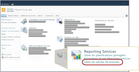 Section Reporting Services de la page Paramètres du site