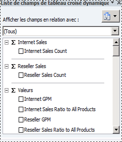 Mesures Internet Sales et Reseller Sales