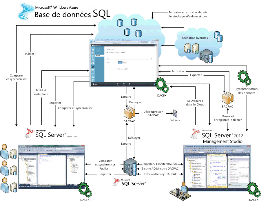 Gestion du cycle de vie de base de données