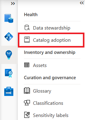 Capture d’écran du menu Data Estate Insights du portail de gouvernance Microsoft Purview avec l’adoption du catalogue mise en évidence sous la section Intégrité.