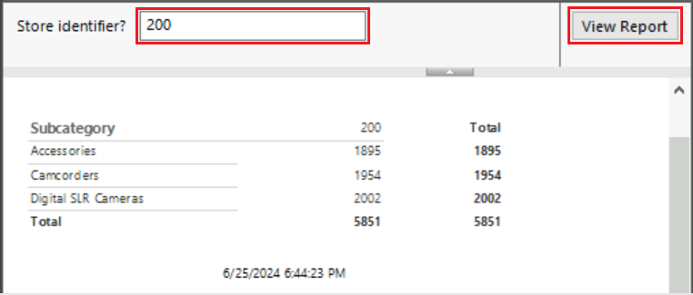 Capture d’écran de l’aperçu du rapport lorsque 200 est saisi comme StoreID à l’invite d’identificateur du magasin.