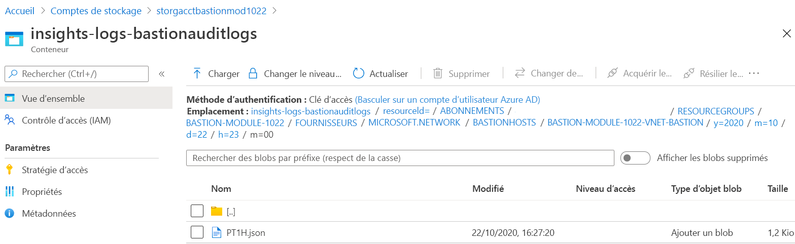 Screenshot of the insights logs for Azure Bastion that shows the J S O N file for a specific time period.