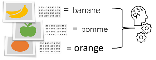 Screenshot of classifying photos based on pixels as features and fruit as classes.