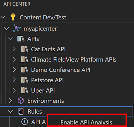 Screenshot dell'abilitazione del linting e dell'analisi dell’API in Visual Studio Code.