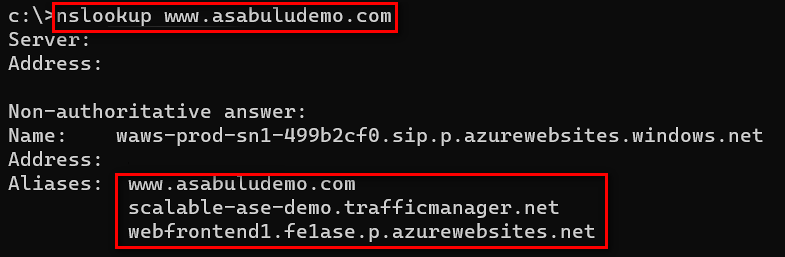 Screenshot del risultato della ricerca DNS.