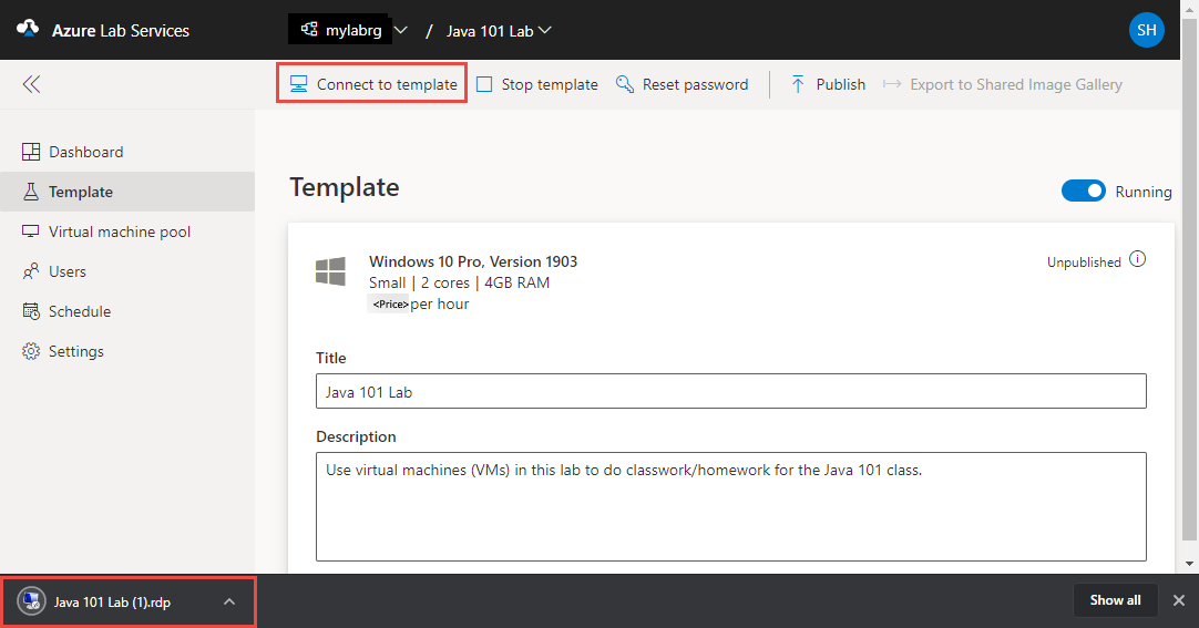 Screenshot che mostra la pagina Modello nel portale di Lab Service, con il pulsante Connetti al modello in evidenza.