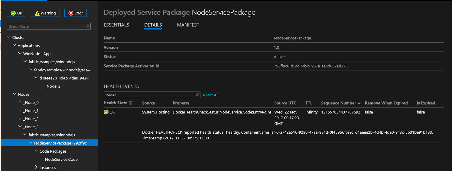 Screenshot che mostra i dettagli del pacchetto del servizio distribuito NodeServicePackage.