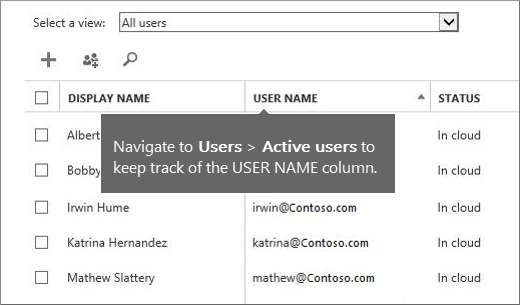 colonna username nell'interfaccia di amministrazione di Microsoft 365.