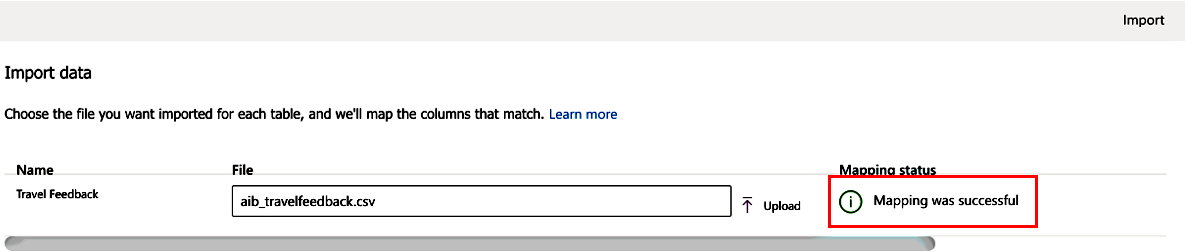 Screenshot della schermata Importa dati che mostra che la mappatura è stata eseguita correttamente.