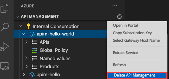 Screenshot dell'eliminazione di Gestione API'istanza da Visual Studio Code.