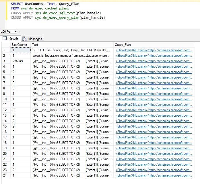 Risultati dell'esecuzione delle query sulle DMV nel Server di gestione di SQL Server