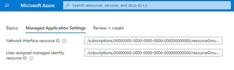 Screenshot di un file createUiDefinition.json di esempio con due input: un ID risorsa dell'interfaccia di rete e un ID risorsa dell'identità gestita assegnata dall'utente.