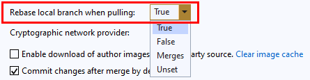 Screenshot dell'impostazione di ribase in Global Impostazioni in Team Explorer in Visual Studio 2019.