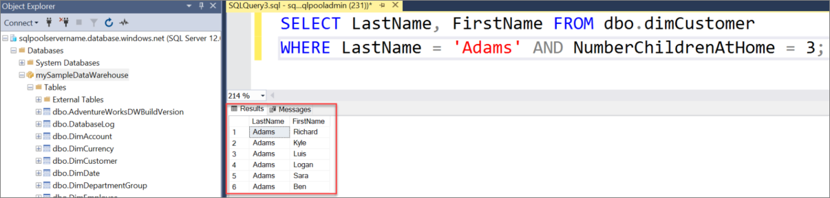 Screenshot della finestra di query di SQL Server Management Studio (SSMS). Eseguire una query su dbo.dimCustomer.