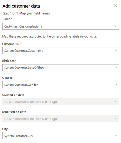 Esempio di campi mappati per i dati del profilo cliente.