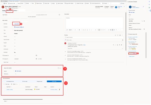 screenshot del modulo caso completo ottimizzato