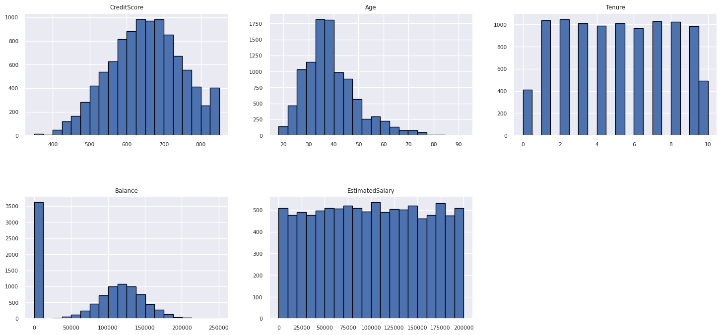 Screenshot che mostra una visualizzazione del notebook degli attributi numerici.