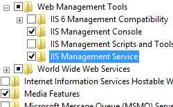 Screenshot che mostra la casella di controllo I S Management Service con una casella di controllo selezionata nel nodo Strumenti di gestione Web.