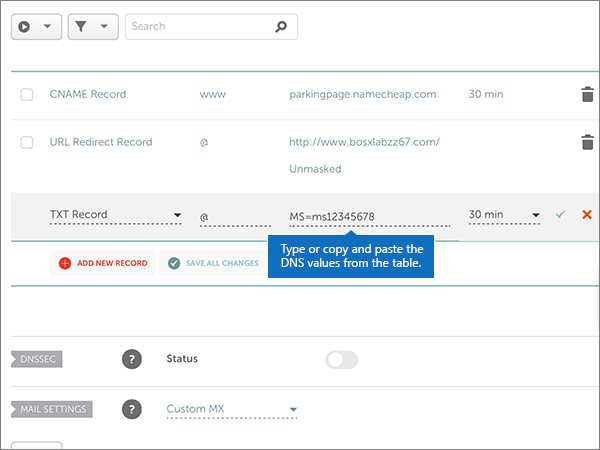 Copiare e incollare i valori dalla tabella per il record TXT di verifica del dominio.