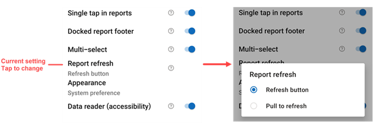 Screenshot che mostra come modificare l'impostazione di aggiornamento del report.