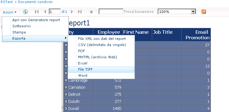 Web part di Visualizzatore report