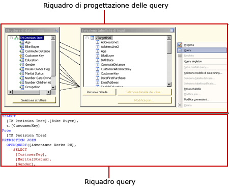 Progettazione query DMX di Analysis Services, visualizzazione query