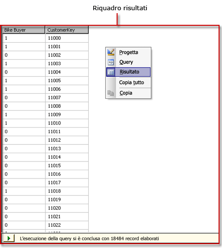 Progettazione query DMX di Analysis Services, visualizzazione risultati