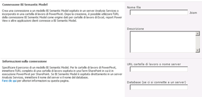 Pagina della connessione BISM in cui viene mostrato l'URL alla cartella di lavoro