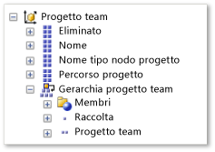 Dimensione Progetto team