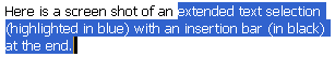 figure 8. text showing visible insertion point at the selection s active end