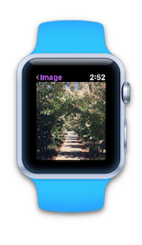 Apple Watch che mostra l'immagine