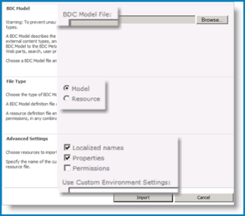 Screenshot della visualizzazione del modello BCS.