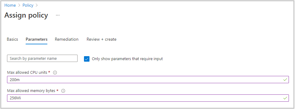 Screenshot that shows the information captured in the Parameters tab.