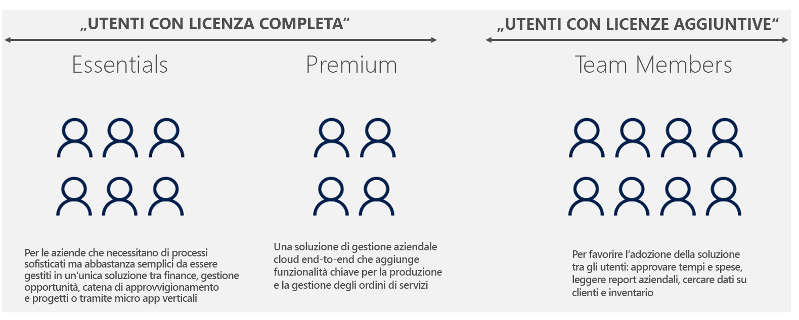 Immagine che mostra i diversi tipi di utenti con licenza completa e con licenza aggiuntiva.