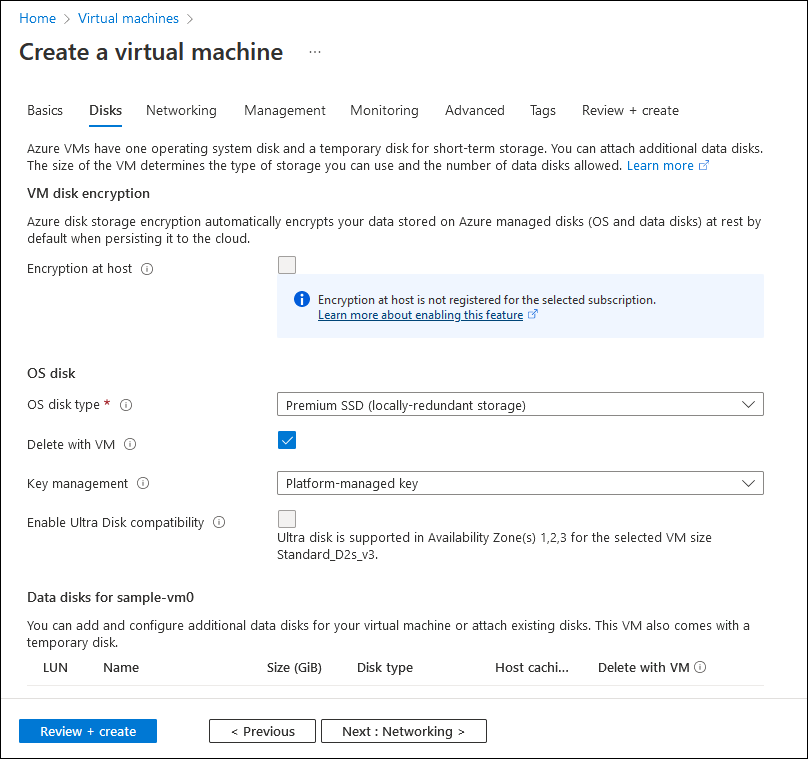 Screenshot showing the Disks tab of the Create a virtual machine wizard.