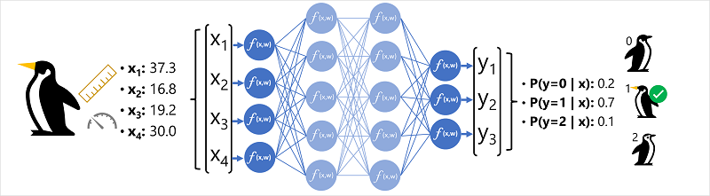 Diagramma di una rete neurale usata per classificare le specie di pinguini.