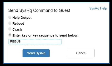 Screenshot della finestra di dialogo Send SysRq Command to Guest (Invia comando SysRq al guest) quando l'opzione di immissione della chiave è selezionata e REISUB è input nel campo seguente.