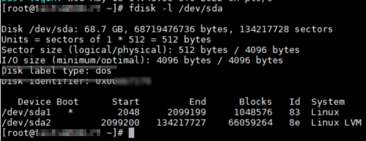 Screenshot che mostra l'avvio con dos type partition table.