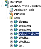 Screenshot che mostra l'elenco Siti espanso. Il sito Web predefinito è evidenziato.