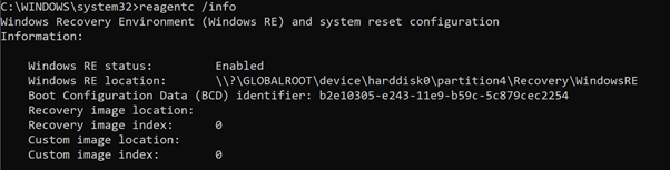 Output del prompt dei comandi di reagentc.exe/info.