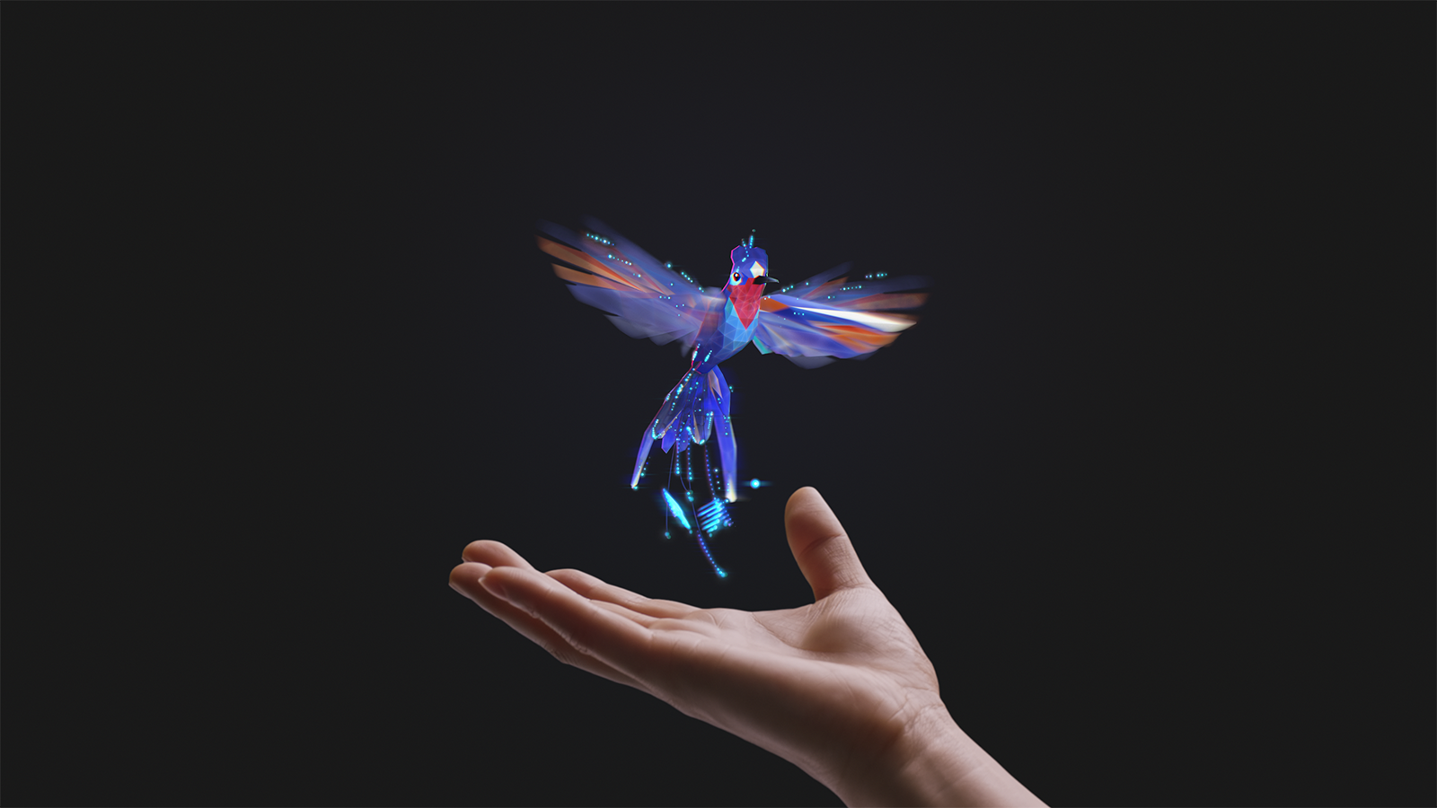 Colibrì virtuale con mano umana