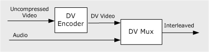 codificatore dv e muxer dv