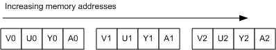 figura 2. layout di memoria ayuv