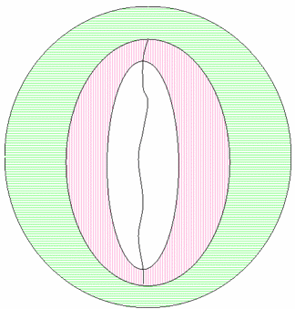 Diagram that shows the device neutral axis added to gamut boundary.