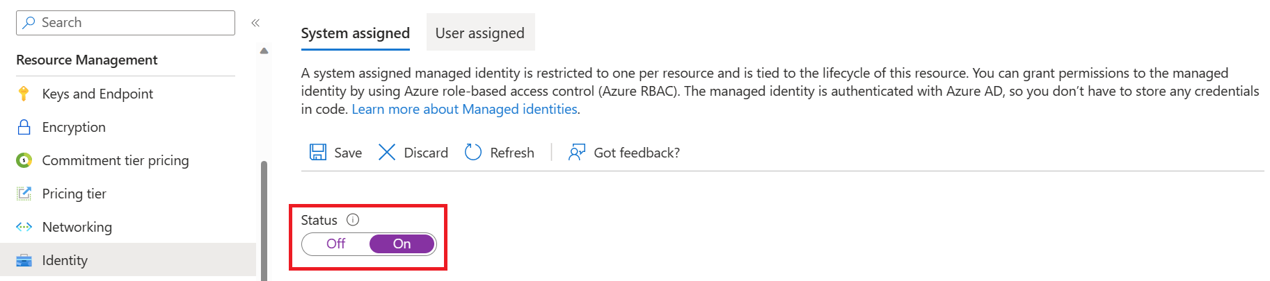 スクリーンショット: Azure portal の [リソース管理] [ID] タブ。