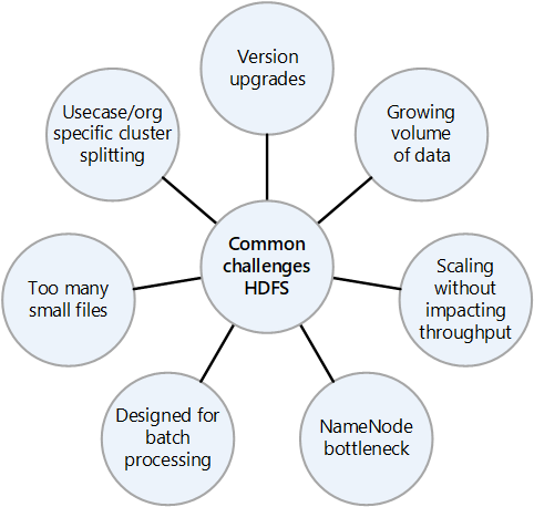 HDFS を実装するときの一般的な課題を示す図。