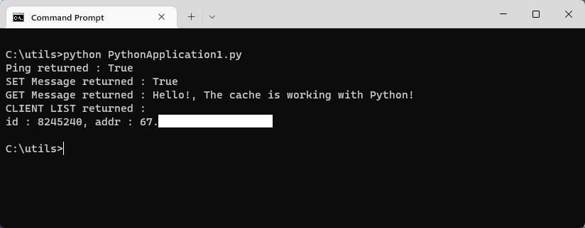 キャッシュ アクセスをテストする Python スクリプトを示すターミナルのスクリーンショット。