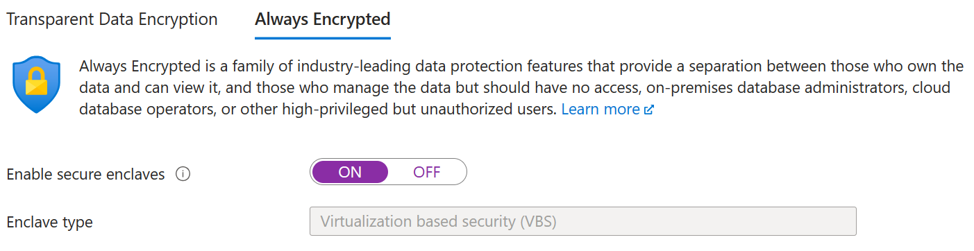 既存のデータベースに対して VBS エンクレーブを有効にするスクリーンショット。