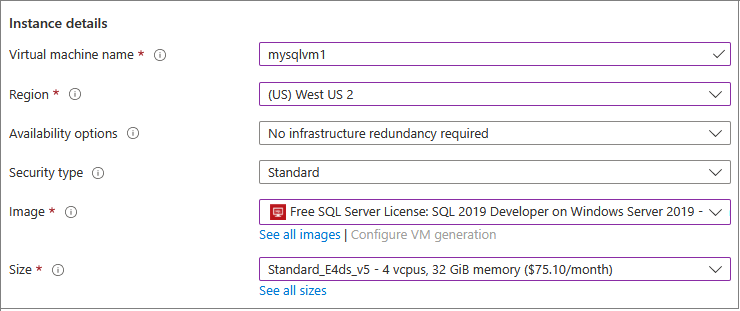 新しい SQL VM のインスタンスの詳細の Azure portal のスクリーンショット。