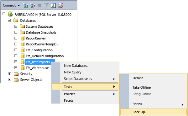 [接続] ウィンドウのスクリーンショット。[タスクのバックアップFABRIKAM2014 > Tfs_TestProjects >> ] が選択されています。